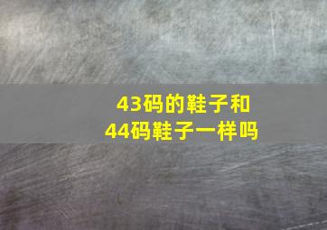 43码的鞋子和44码鞋子一样吗