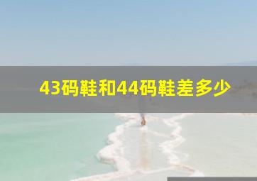 43码鞋和44码鞋差多少