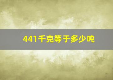 441千克等于多少吨