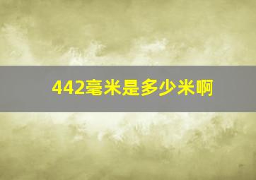 442毫米是多少米啊