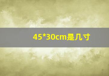 45*30cm是几寸