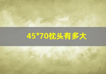 45*70枕头有多大