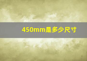 450mm是多少尺寸