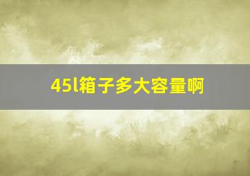 45l箱子多大容量啊