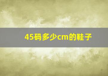 45码多少cm的鞋子