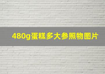 480g蛋糕多大参照物图片