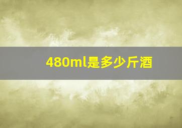 480ml是多少斤酒