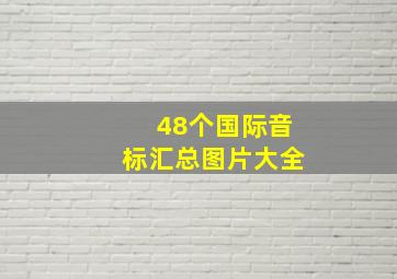 48个国际音标汇总图片大全