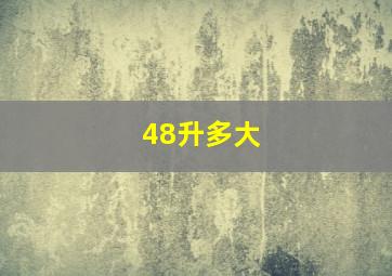 48升多大