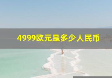 4999欧元是多少人民币