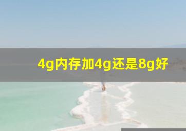 4g内存加4g还是8g好