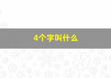 4个字叫什么