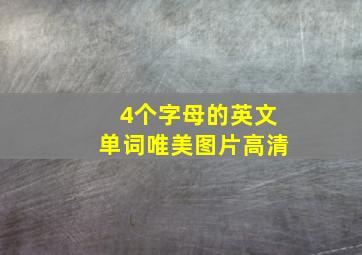 4个字母的英文单词唯美图片高清