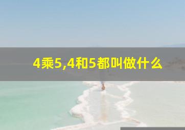 4乘5,4和5都叫做什么