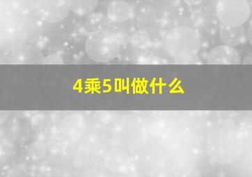 4乘5叫做什么