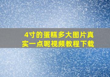 4寸的蛋糕多大图片真实一点呢视频教程下载