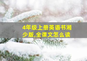 4年级上册英语书湘少版,全课文怎么读