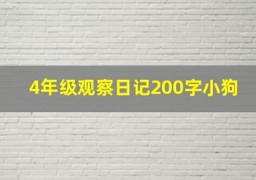 4年级观察日记200字小狗