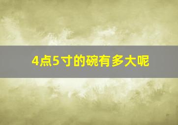 4点5寸的碗有多大呢