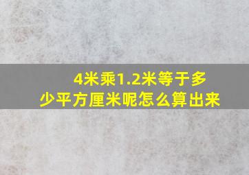 4米乘1.2米等于多少平方厘米呢怎么算出来