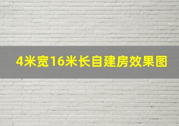 4米宽16米长自建房效果图