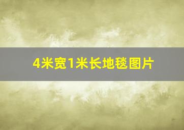 4米宽1米长地毯图片