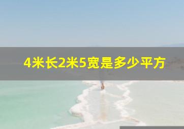 4米长2米5宽是多少平方