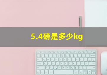 5.4磅是多少kg