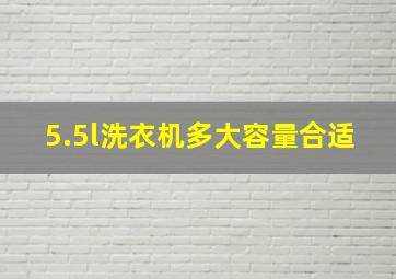 5.5l洗衣机多大容量合适