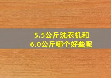 5.5公斤洗衣机和6.0公斤哪个好些呢