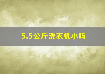 5.5公斤洗衣机小吗