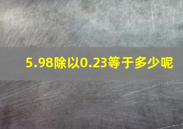 5.98除以0.23等于多少呢