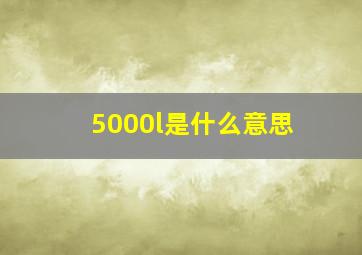 5000l是什么意思