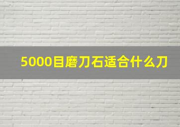 5000目磨刀石适合什么刀