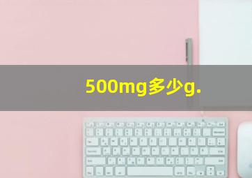 500mg多少g.