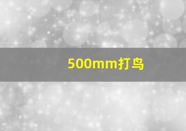 500mm打鸟