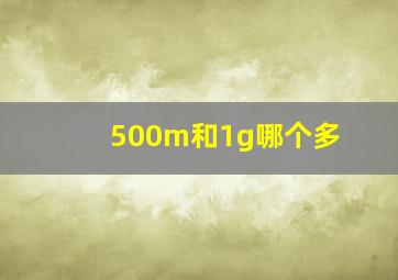 500m和1g哪个多