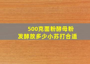 500克面粉酵母粉发酵放多少小苏打合适