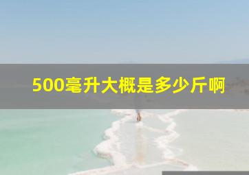 500毫升大概是多少斤啊