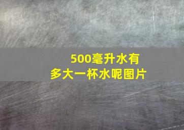 500毫升水有多大一杯水呢图片