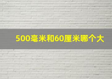 500毫米和60厘米哪个大