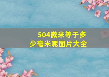 504微米等于多少毫米呢图片大全