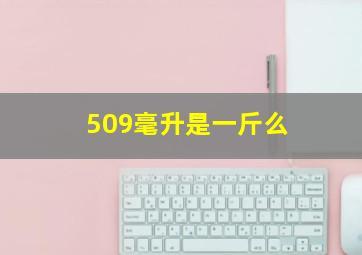 509毫升是一斤么