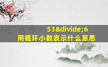 53÷6用循环小数表示什么意思