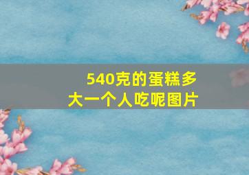 540克的蛋糕多大一个人吃呢图片