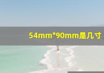 54mm*90mm是几寸