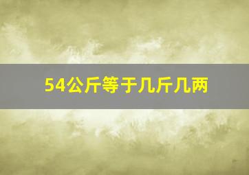 54公斤等于几斤几两