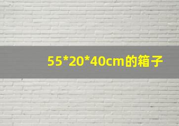 55*20*40cm的箱子