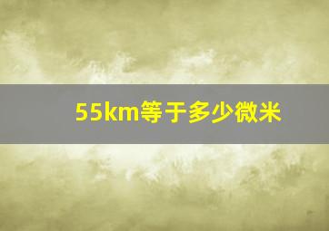 55km等于多少微米