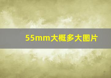 55mm大概多大图片